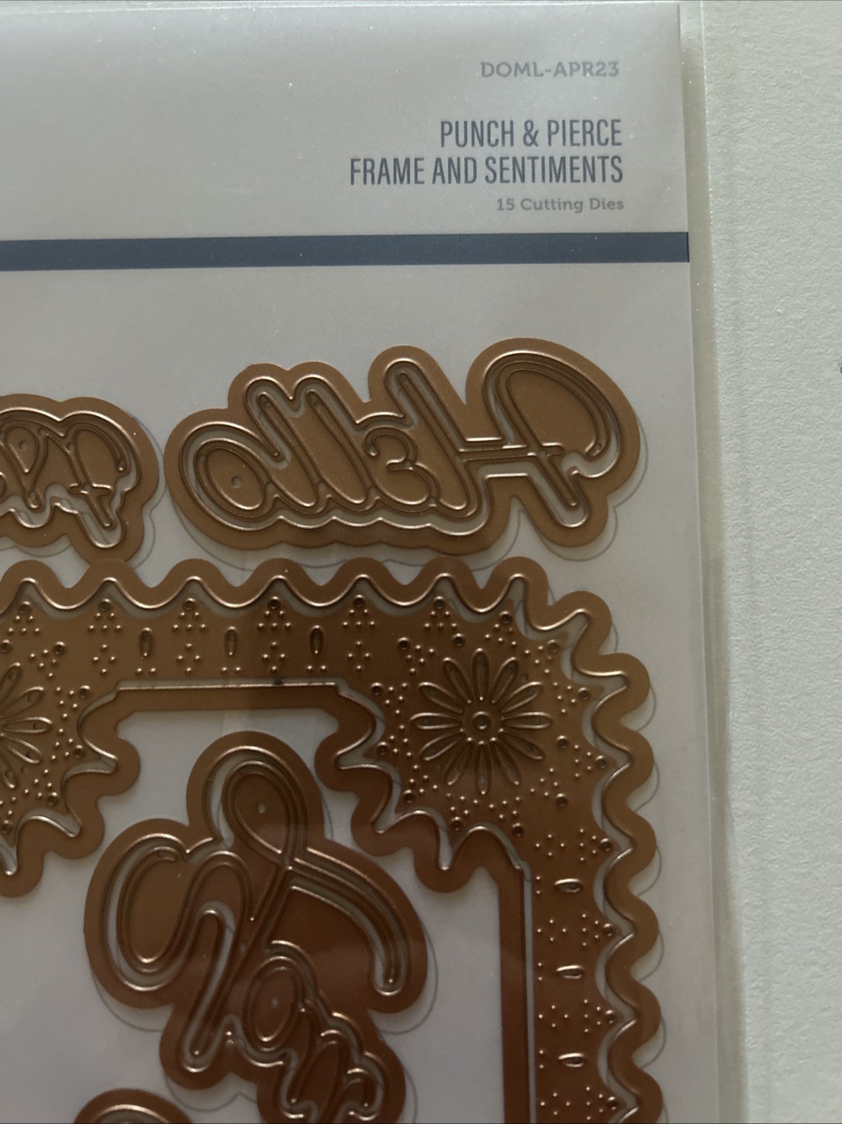 NEW Spellbinders Large Die Of The Month Apr 2023 PUNCH & PIERCE FRAME SENTIMENTS