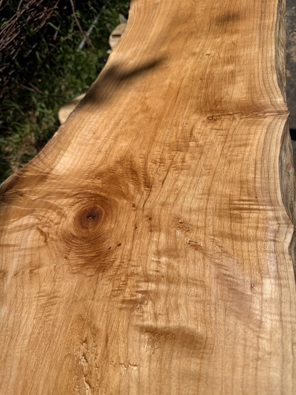 13’ Live Edge Big Leaf Maple Slab Highly Figured Low Moisture Delivery Options