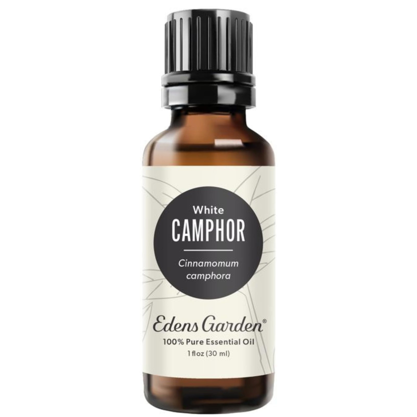 Edens Garden Camphor- White Essential Oil- 1 Fl Oz (Pack of 1), Pale Yellow