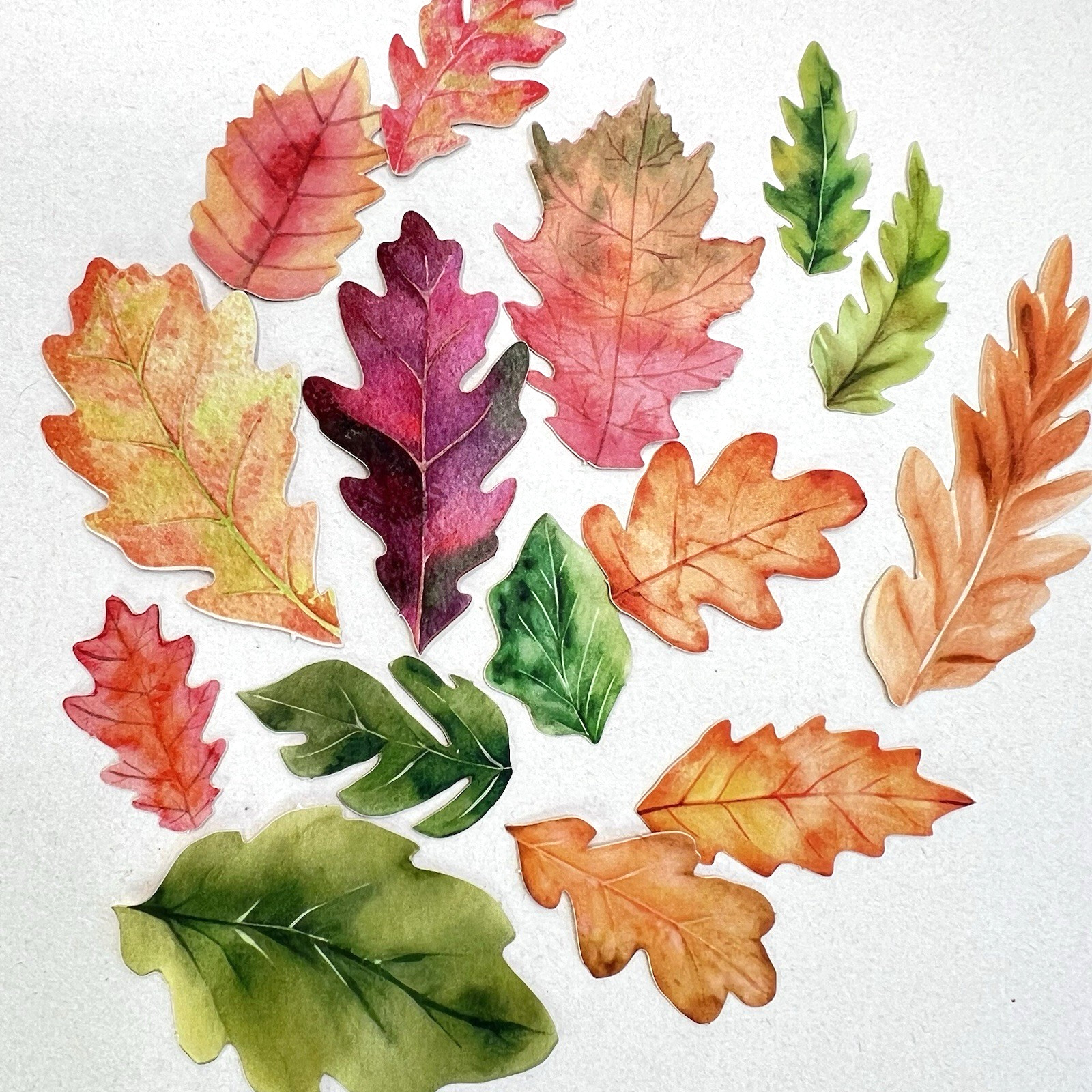 Autumn Oak Leaf Stickers Scrapbooking Junk Journaling Collage