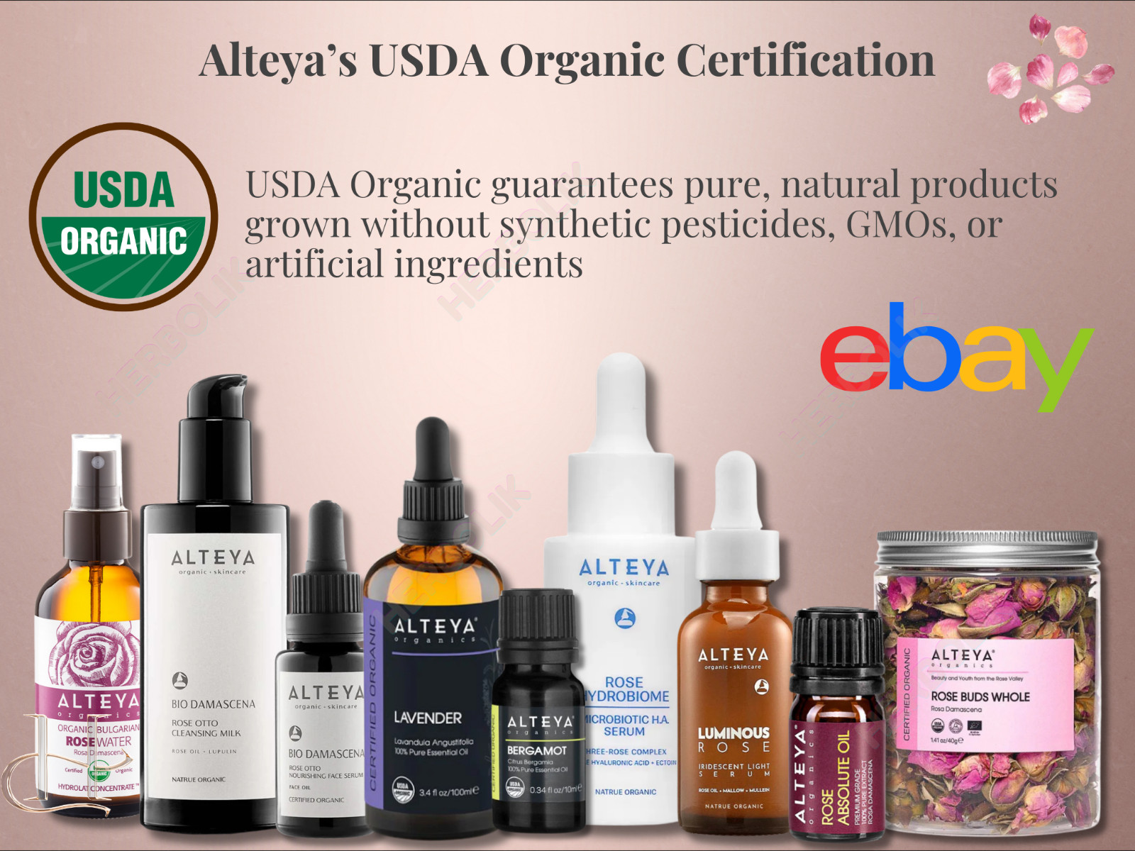 Alteya Bulgarian Rose Essential Oil – Rose Otto – Pure & Therapeutic