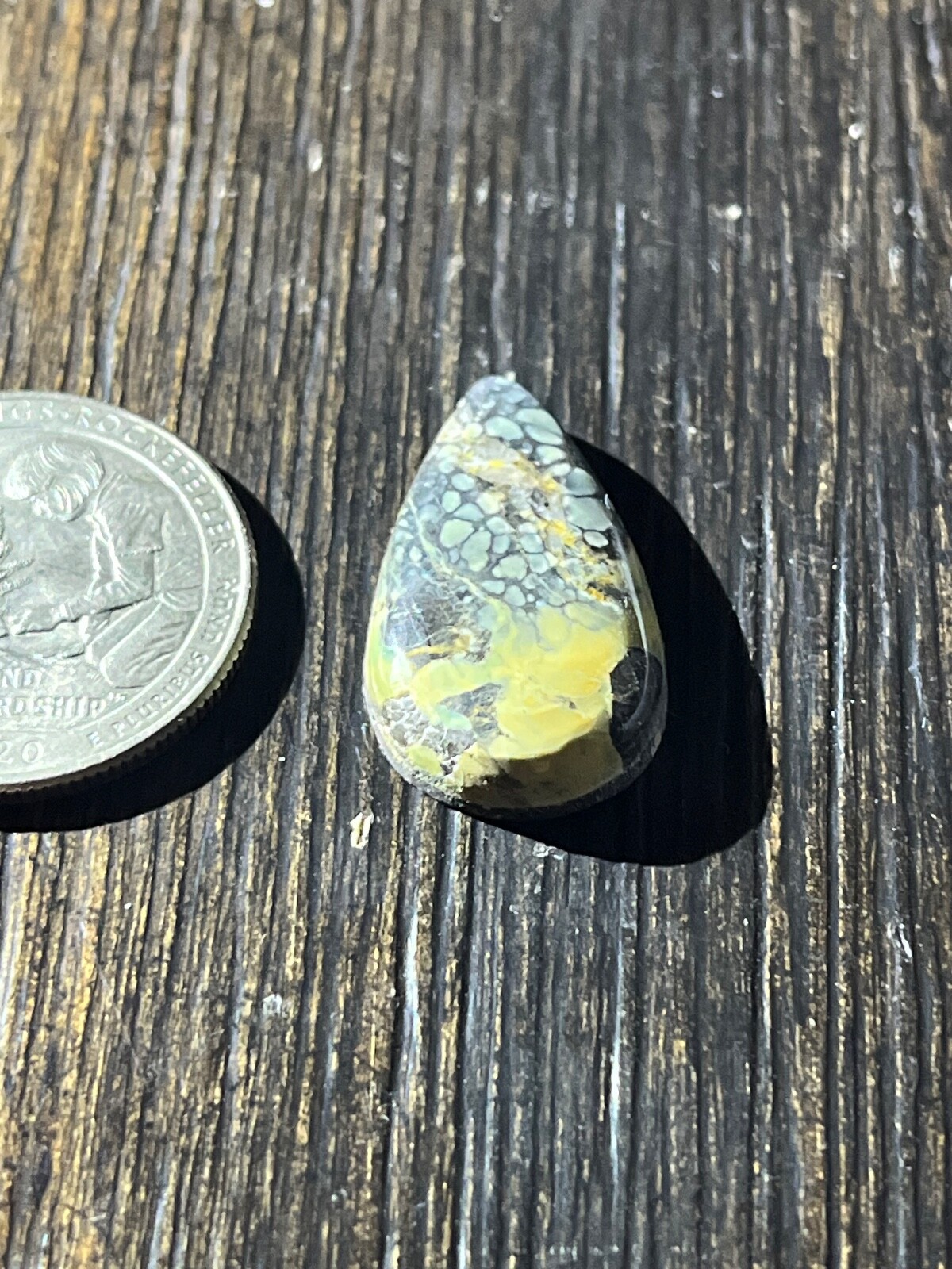 Tree Frog Variscite mine 10.3 ctw pear tear drop Cabochon NV, USA