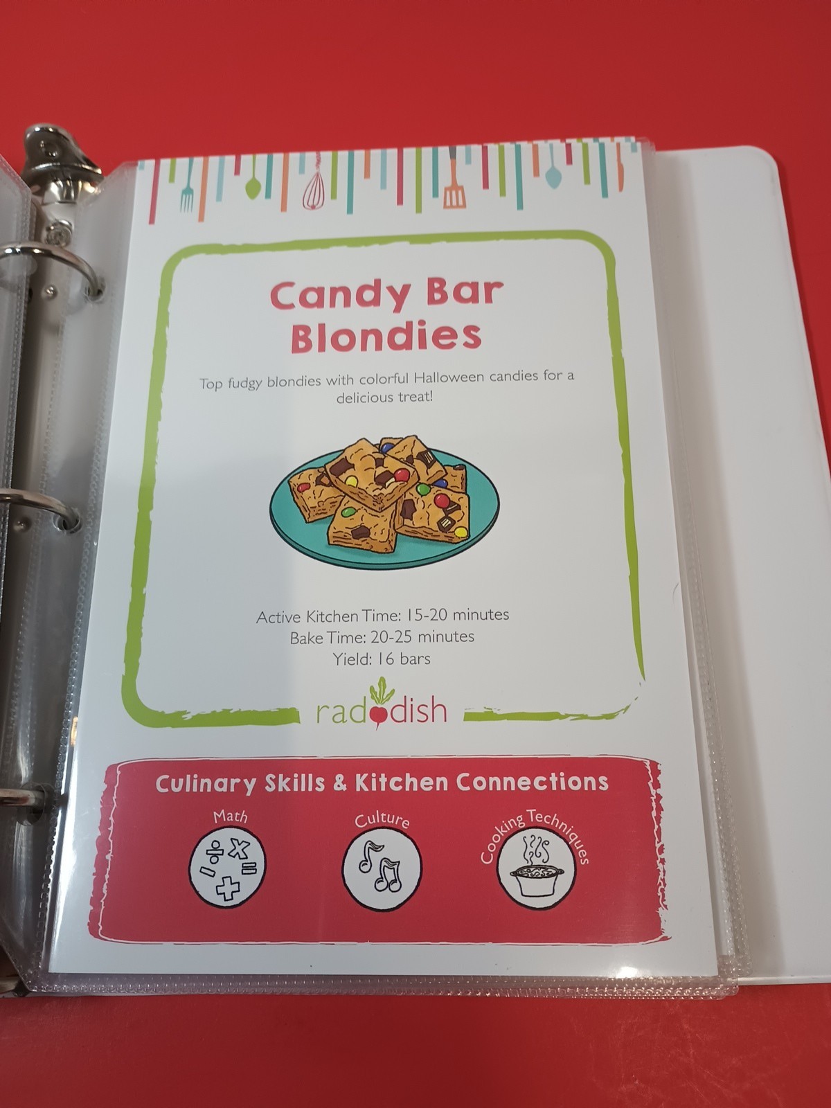 Lot Of 18 RADDISH KIDS Cooking Recipe Cards, INSTRUCTIONS, TRI-FOLD +12 Cards
