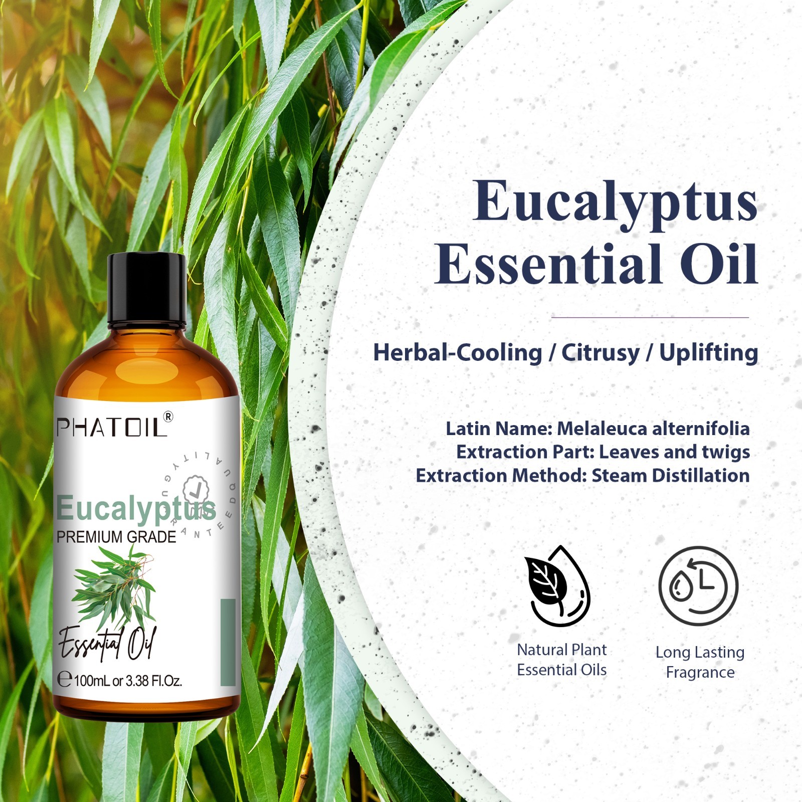 100ml Pure Eucalyptus Essential Oils Aromatherapy Essential Oil For Diffusers