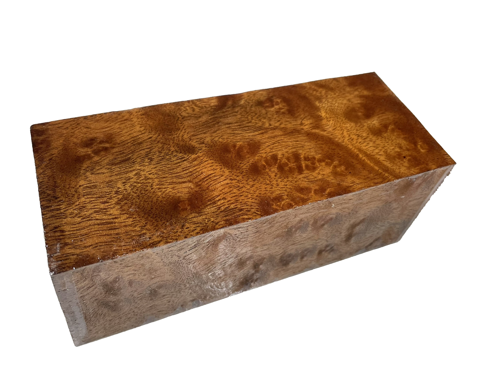 Camphor burl wood turning blank 2-7/16″ x 2-7/16″ x 6″ (J56) Dried