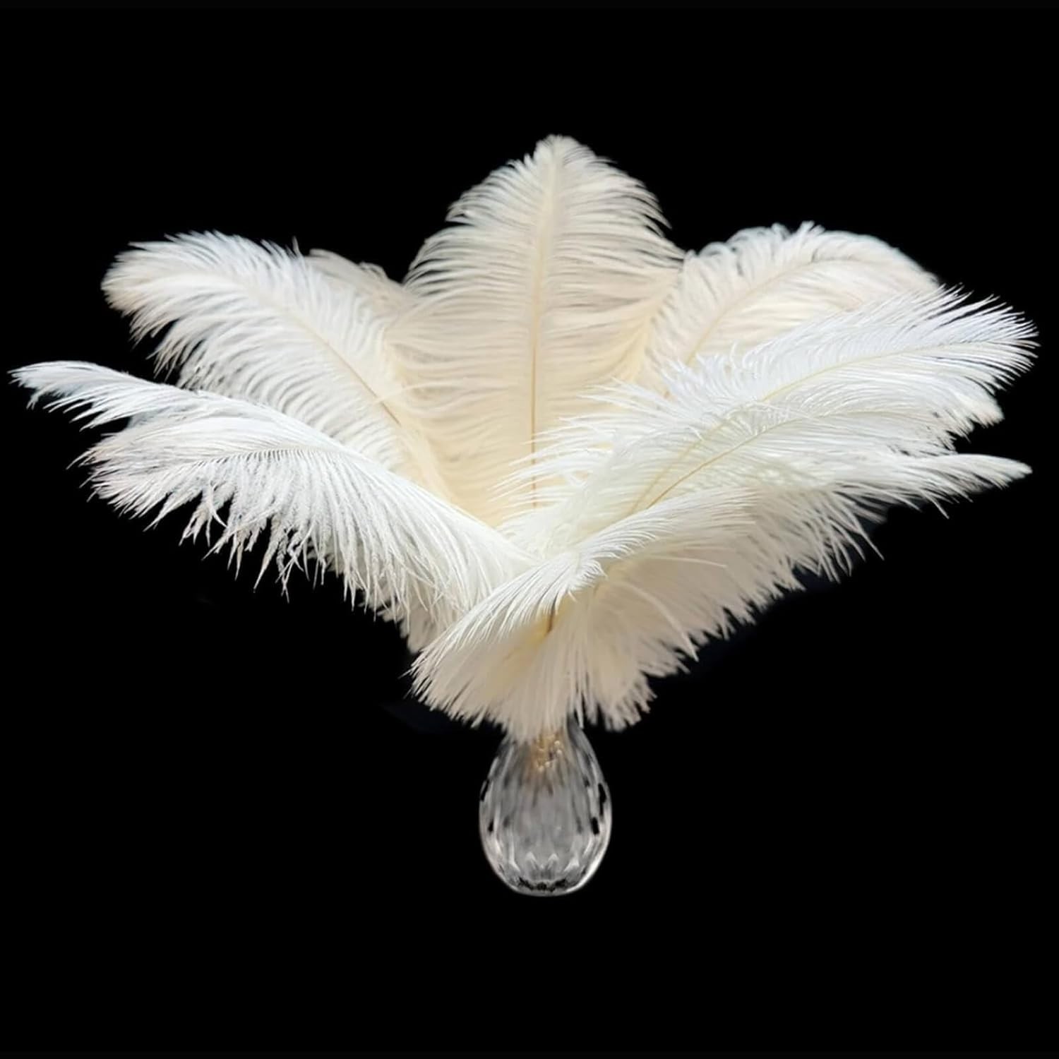 Cruelty-Free 20Pcs White Ostrich Feathers (10-12 inch) – Style Your Celebration