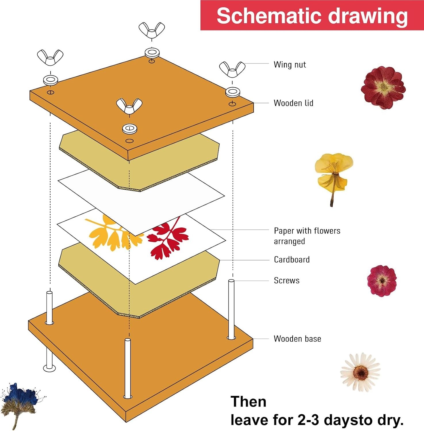 6 Layer Flower Press Kit 6 x 6 Inch Wooden Press for Dried Flowers and Leaf Craf