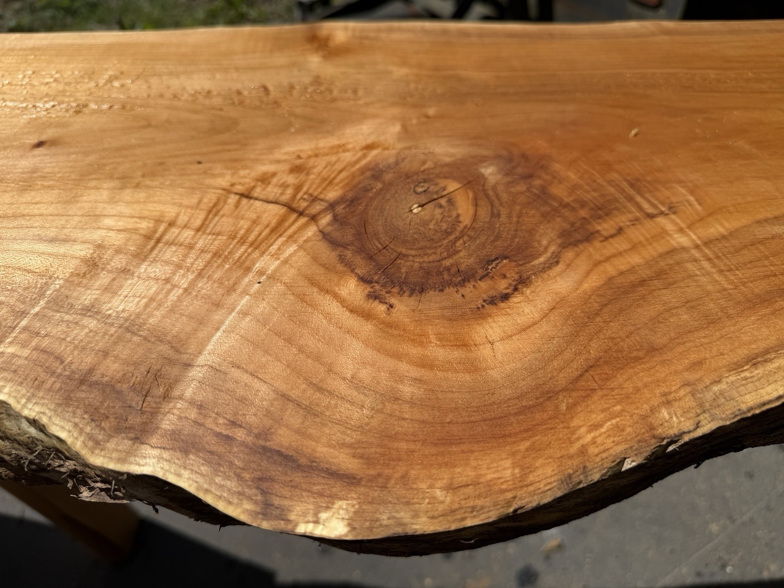 13’ Live Edge Big Leaf Maple Slab Highly Figured Low Moisture Delivery Options