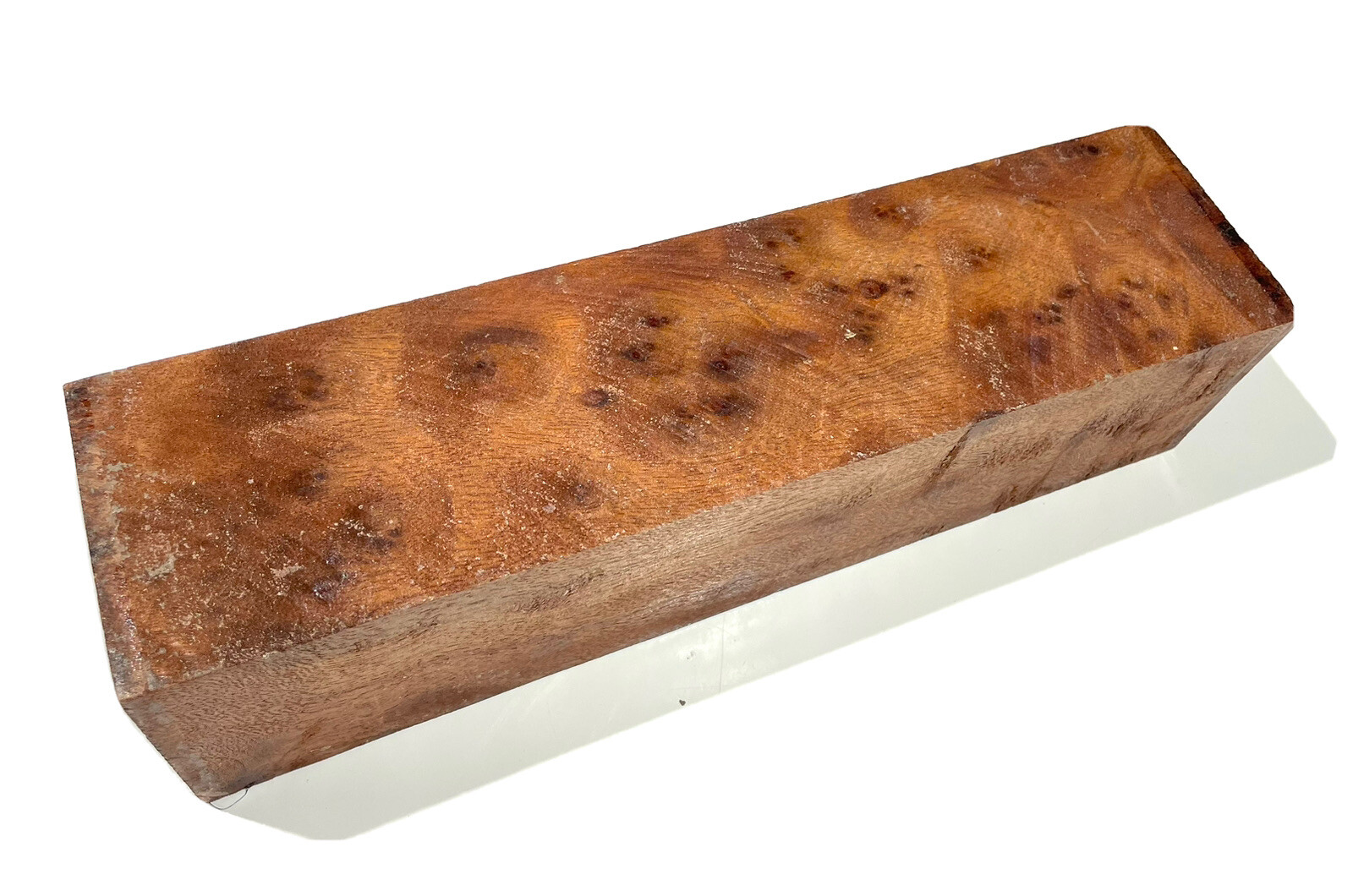 Camphor burl wood turning blank 2-13/16″ x 2-13/16” x 11-1/4″ (q60) Dried