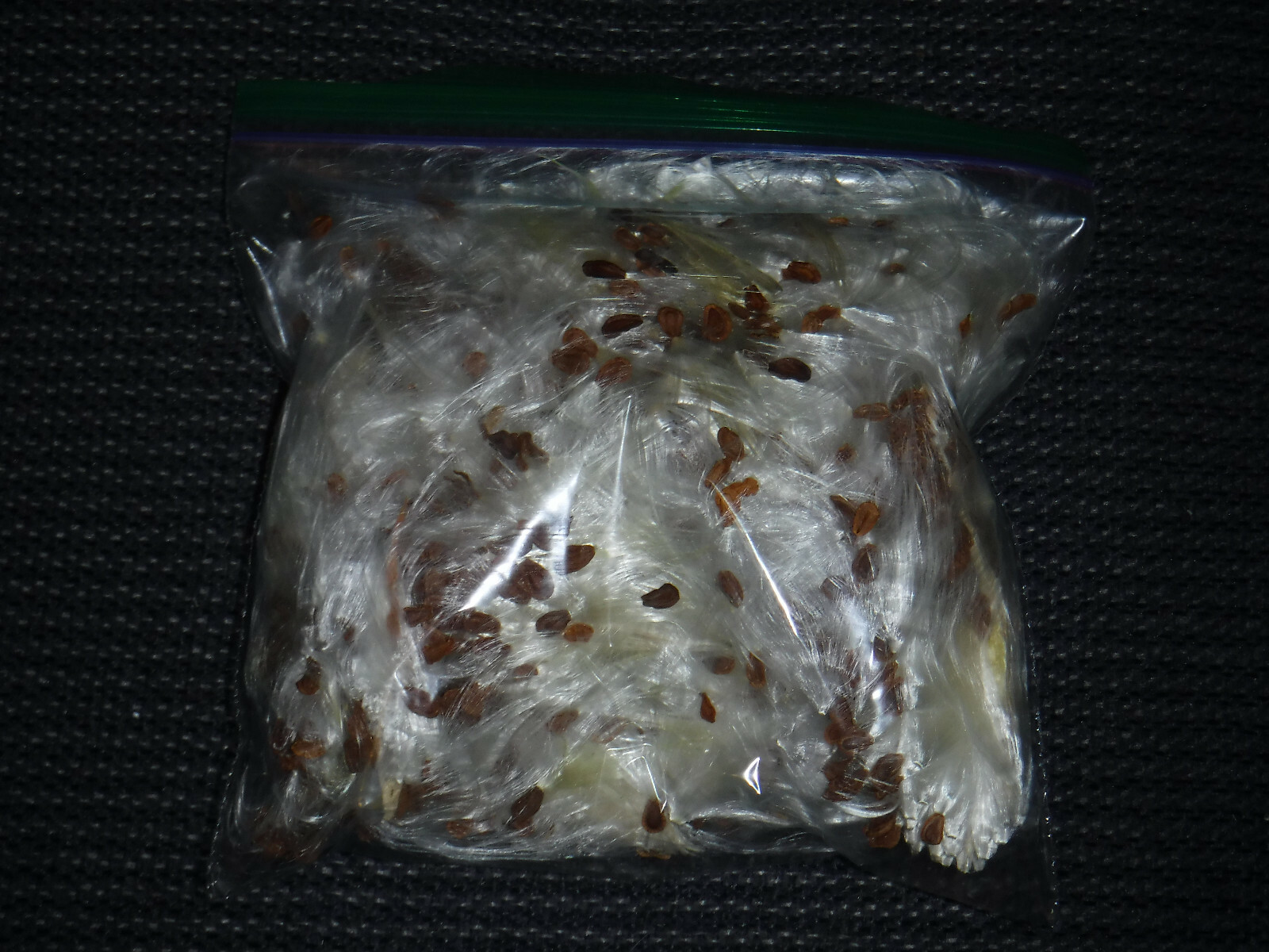 1/2+ oz Bag Milkweed Seed Fluff Floss Wind Checker Arts Crafts Fire Starters