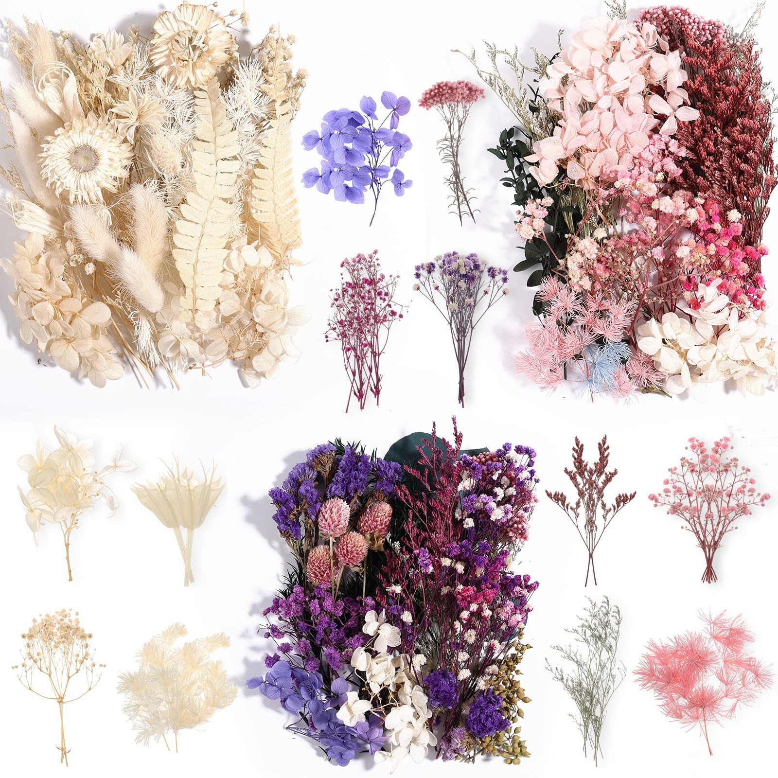 Comkrivy Real Dried Flowers 100% Natural Dried Flowers, Mixed Colors Dried Leaf
