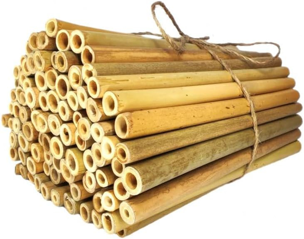 Bamboo Craft Tubes – 100 Count, 5″ Eco-Friendly Sticks for DIY Bee Hotels, So…