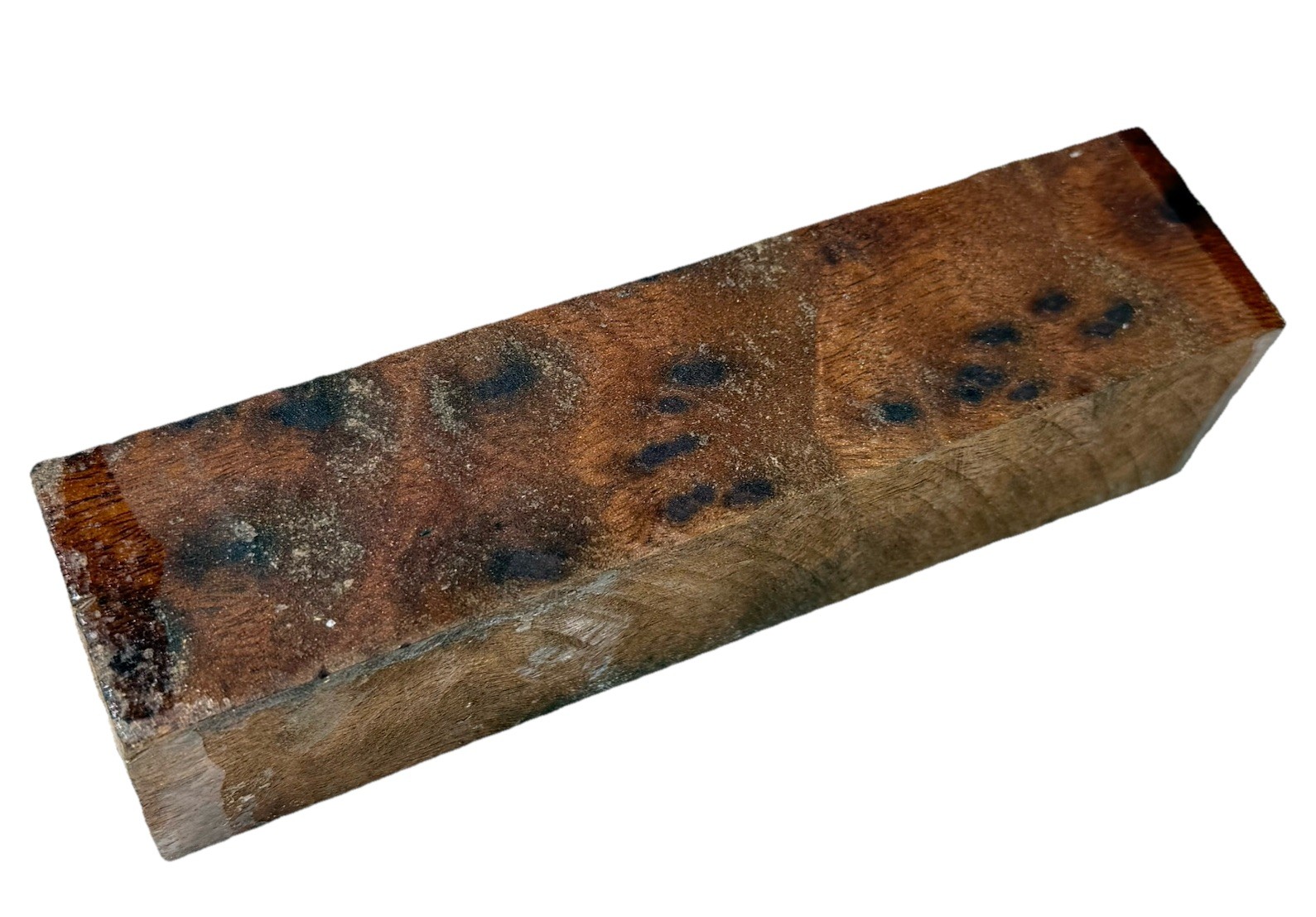 Camphor burl wood turning blank 1-9/16″ x 1-9/16” x 6-3/8″ (d36) dried