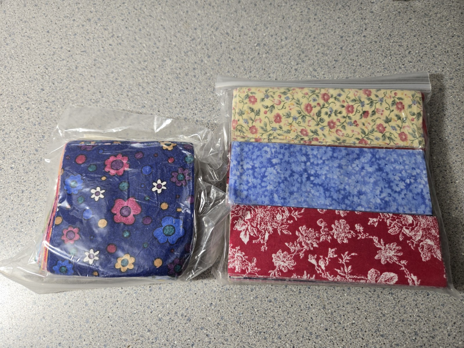 Jewels In My Garden 40 X 50 Quilt Kit Scrappy Pieced Border Colorful Floral
