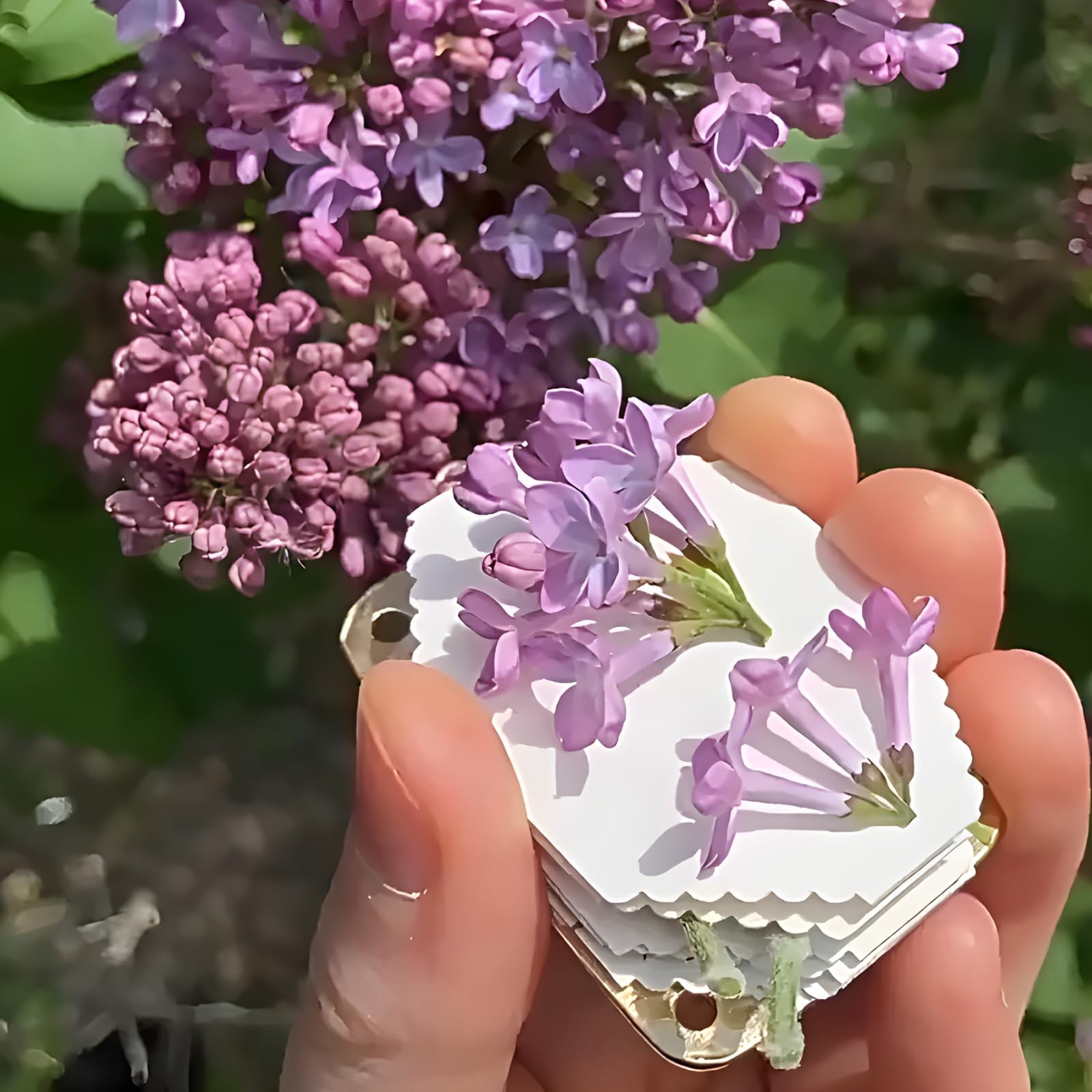 NIXNEHC Micro Mini Flower Press Kit, Miniature Flowers Pressing, Small Pocket…