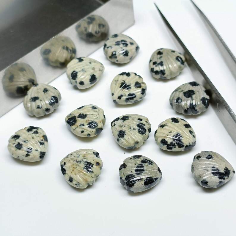 5Pcs Natural Dalmatian Jasper Shell Shape Briolette’s,12mm Hand Carved Beads