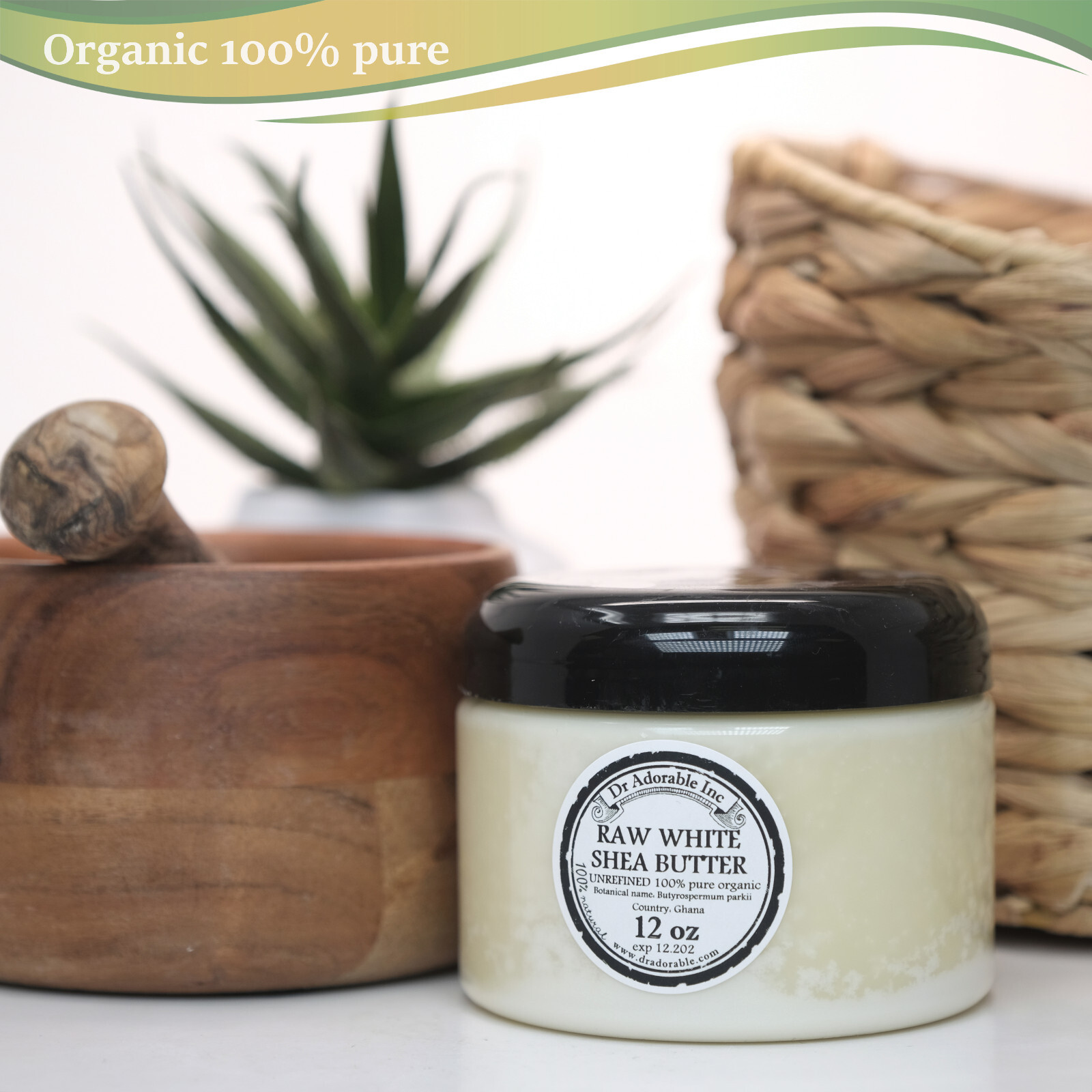 Premium Shea Butter WHITE Unrefined Raw Organic High Quality Choose Size