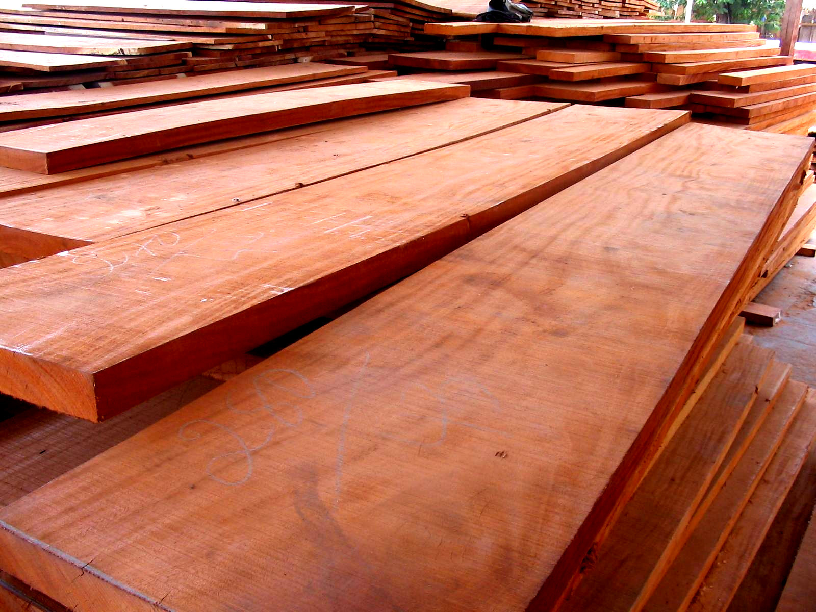 10 BOARD FEET KILN DRIED 8/4 SPANISH CEDAR LUMBER WOOD FAS GRADE