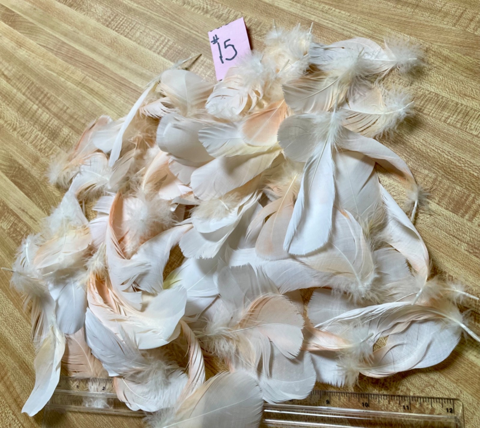 Cruelty-Free Naturally Shed Pet Parrot Feathers for Crafts