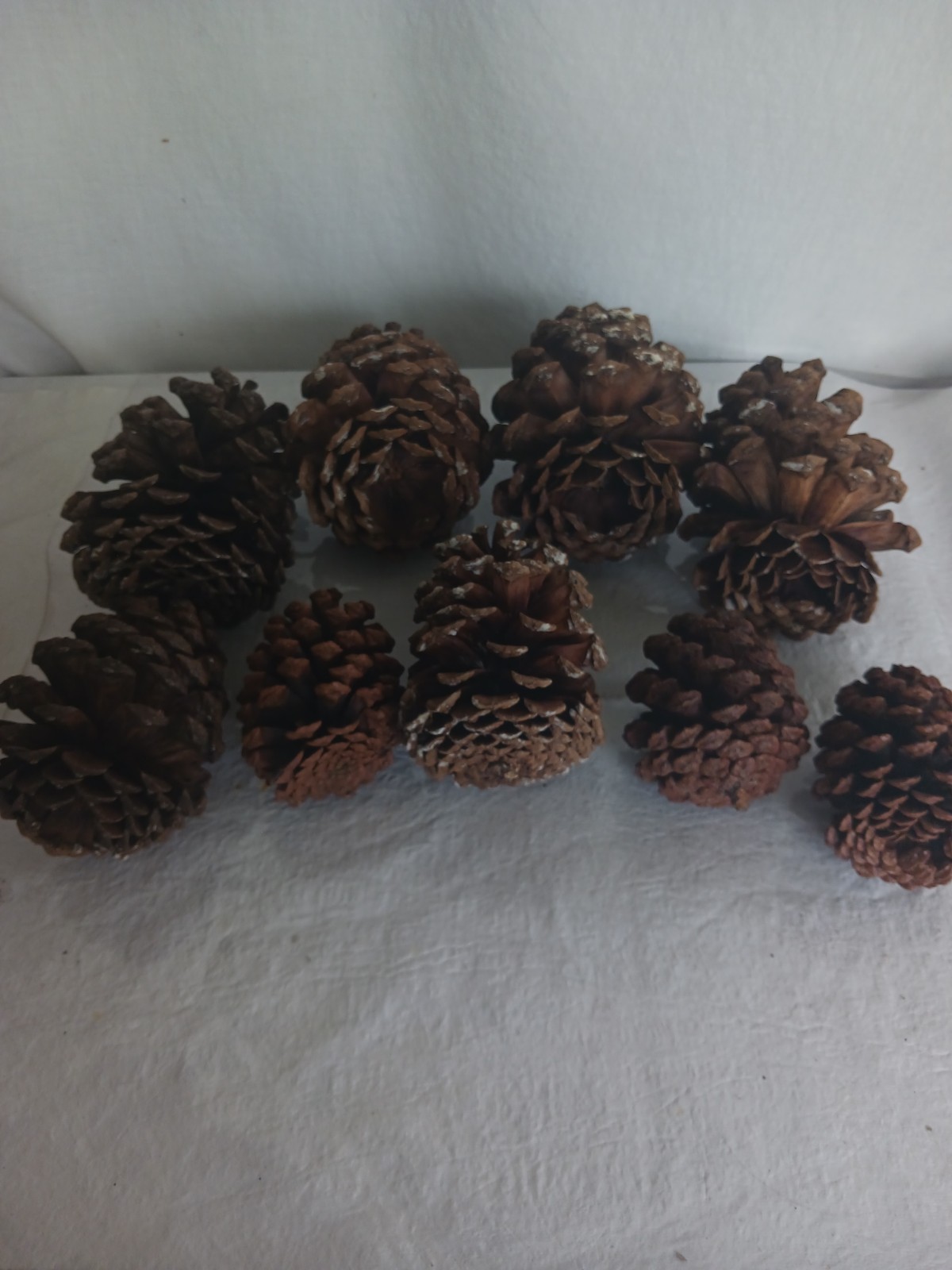 Lot 9 Extra Large 8″ To 4″ Pine Cones Natural Decoration Eco Wreath Fireplace