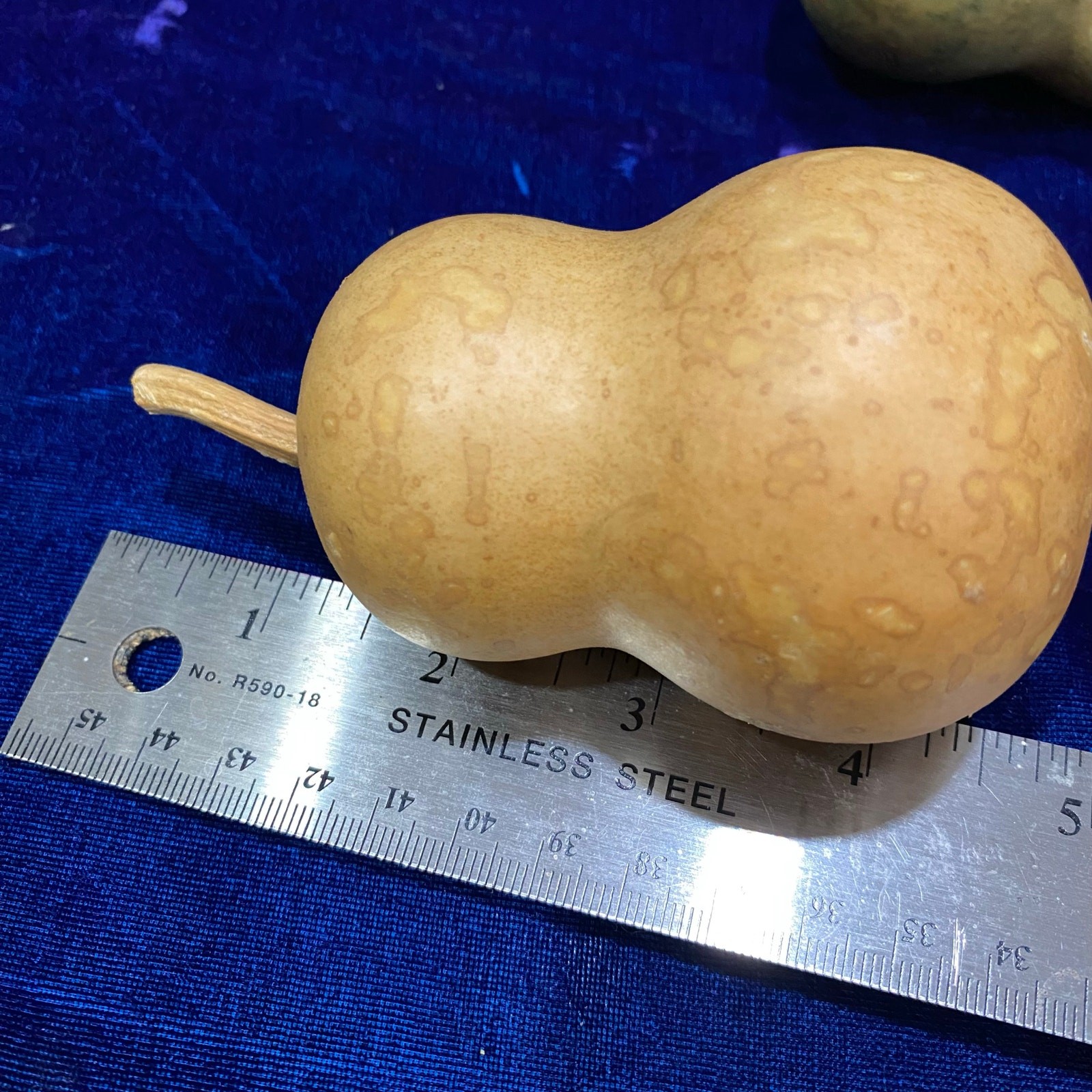 Lot of FIVE (5) Gourds Small Size Pear Shaped Round Dried Natural Color Clean