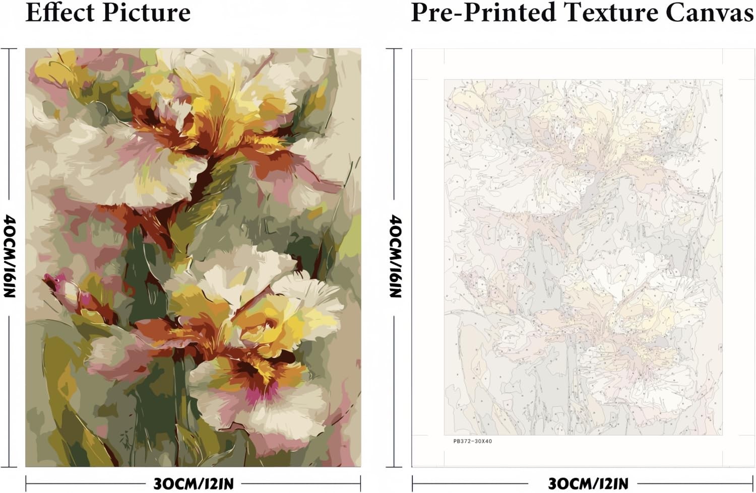 Paint by Numbers Kit for Adults Beginner,Flower Oil Painting Kit Adult Paint by