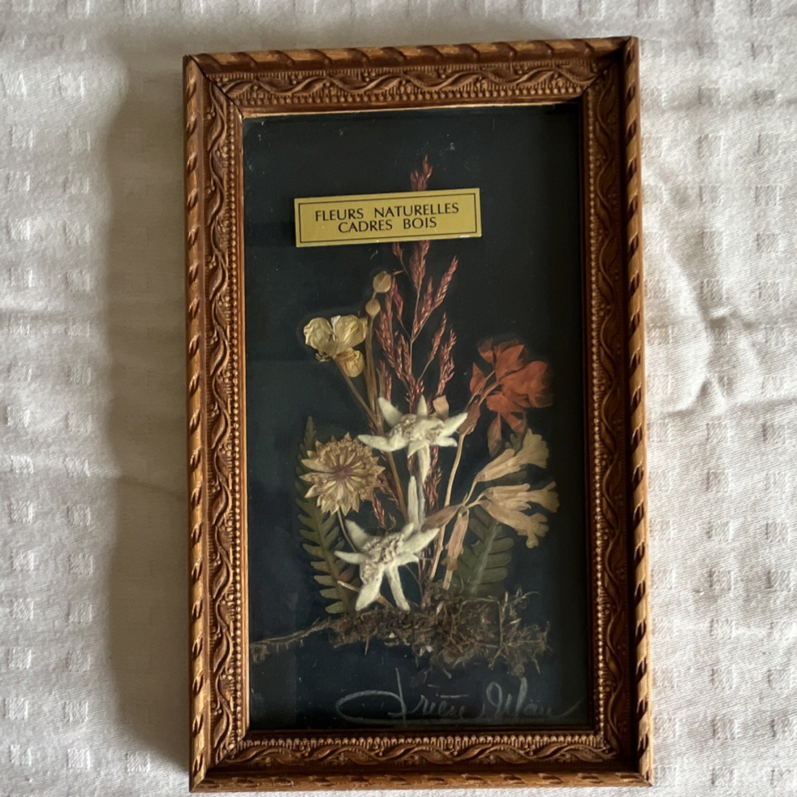 Framed Dried Flowers Art with Multiple Plant Parts in Wooden Frame