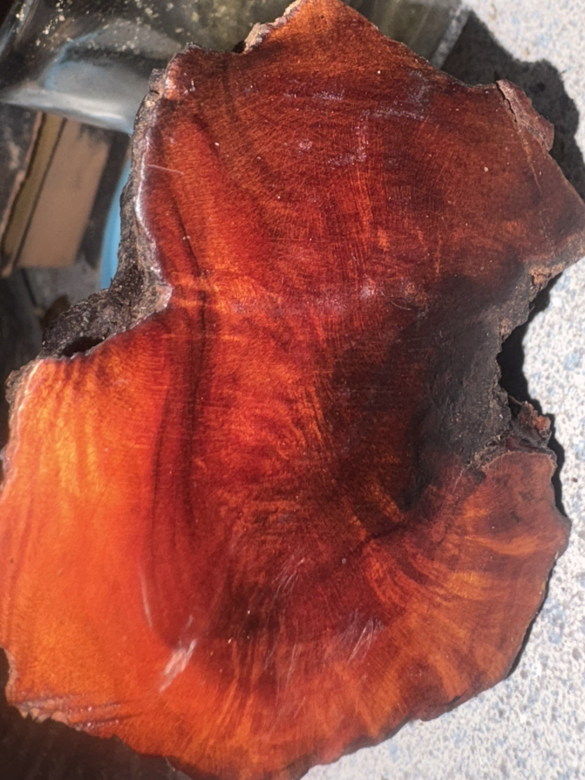 ALL SIZES Burl Wood Natural Unfinished Lumber for Crafting and Woodworking
