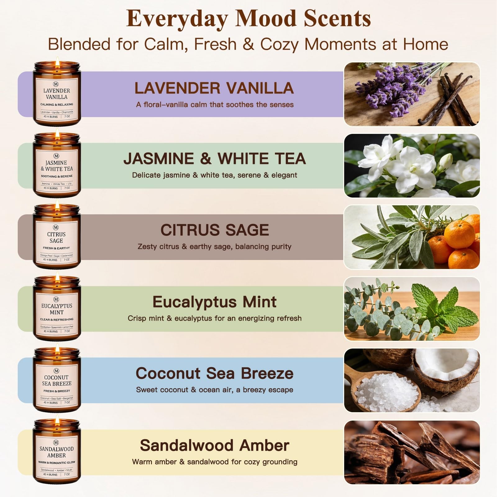 6-Pack Scented Soy Candle Set – Lavender Vanilla, Eucalyptus, Sandalwood,