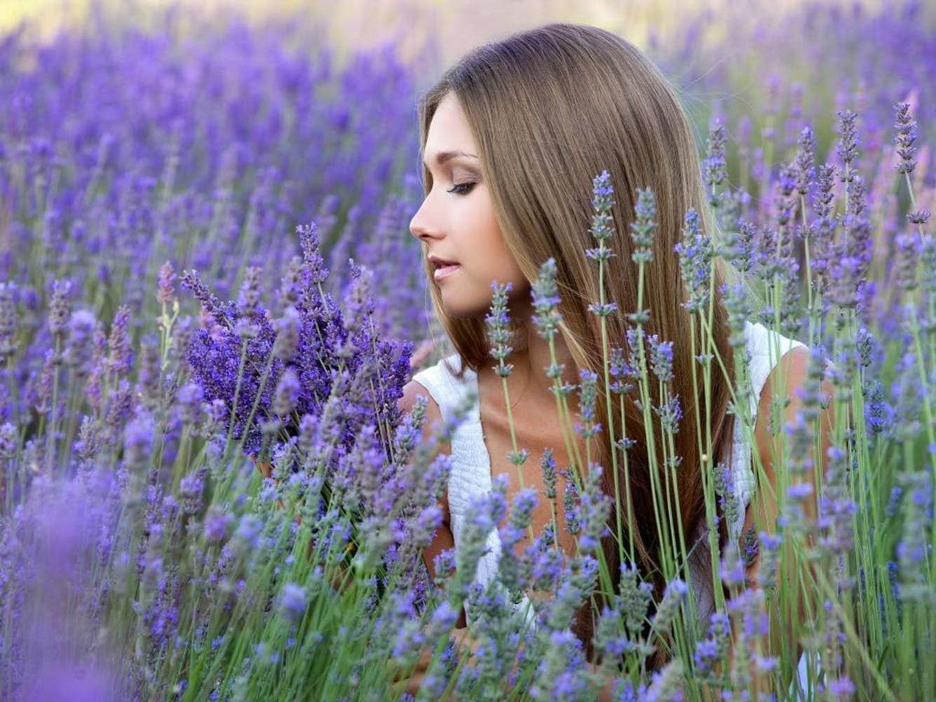 Lavender Flowers Dried Culinary Lavender Buds Food Grade 4 OZ Buy Now