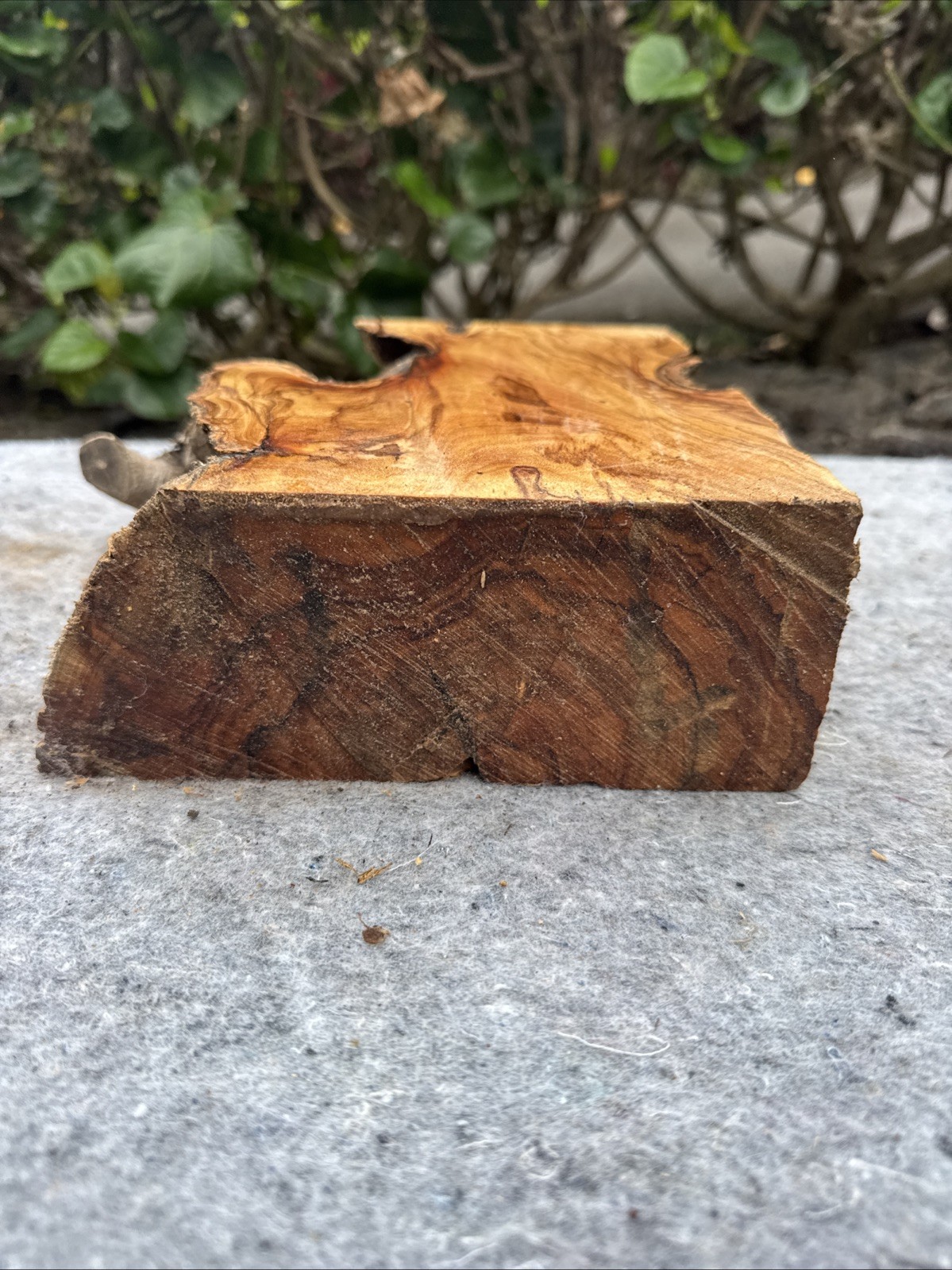 Reclaimed Hawaiian Aromatic Sugi Bowl Blank 10”x7”x3”