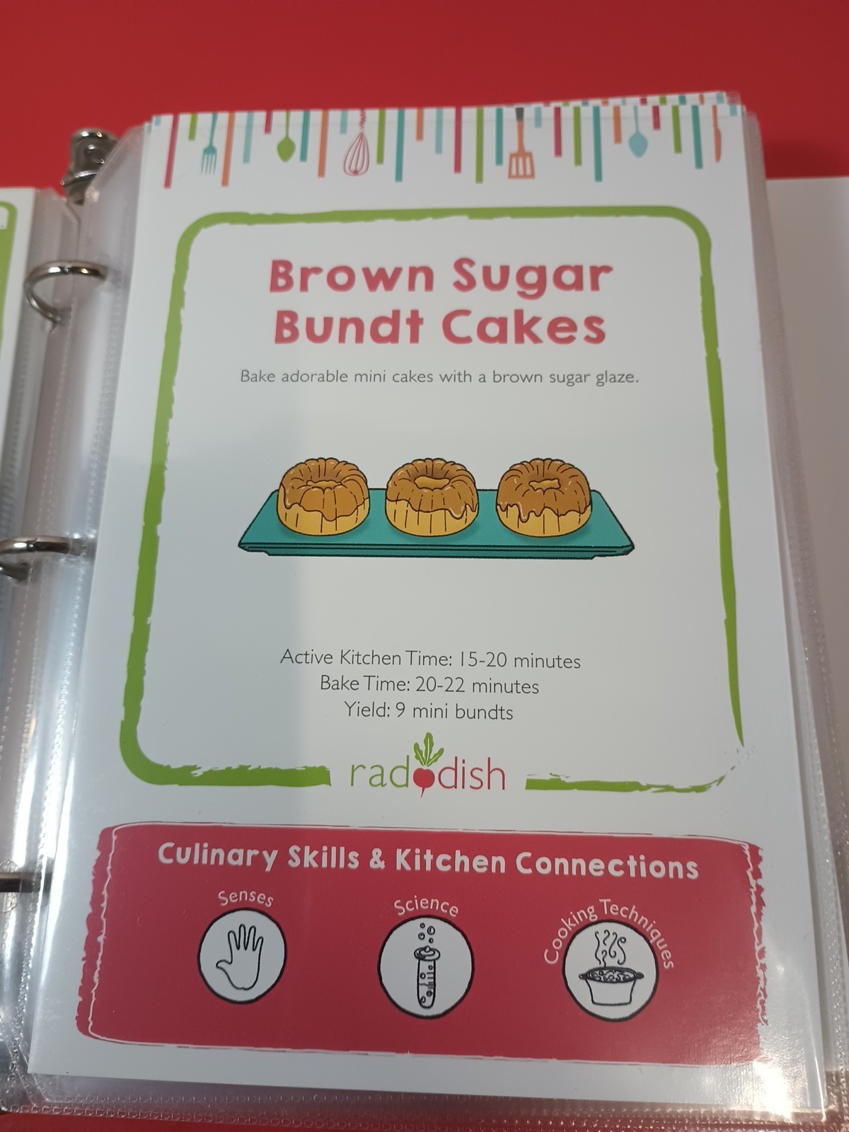 Lot Of 18 RADDISH KIDS Cooking Recipe Cards, INSTRUCTIONS, TRI-FOLD +12 Cards