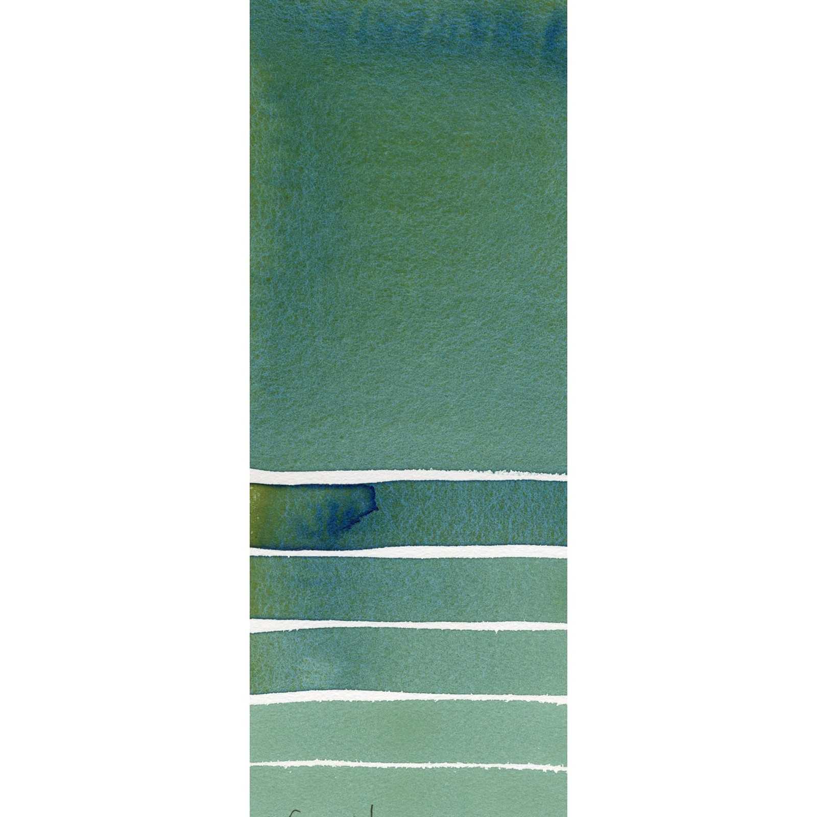 Daniel Smith 284610142 Extra Fine Watercolors Tube, 5ml, Cascad Kitchen