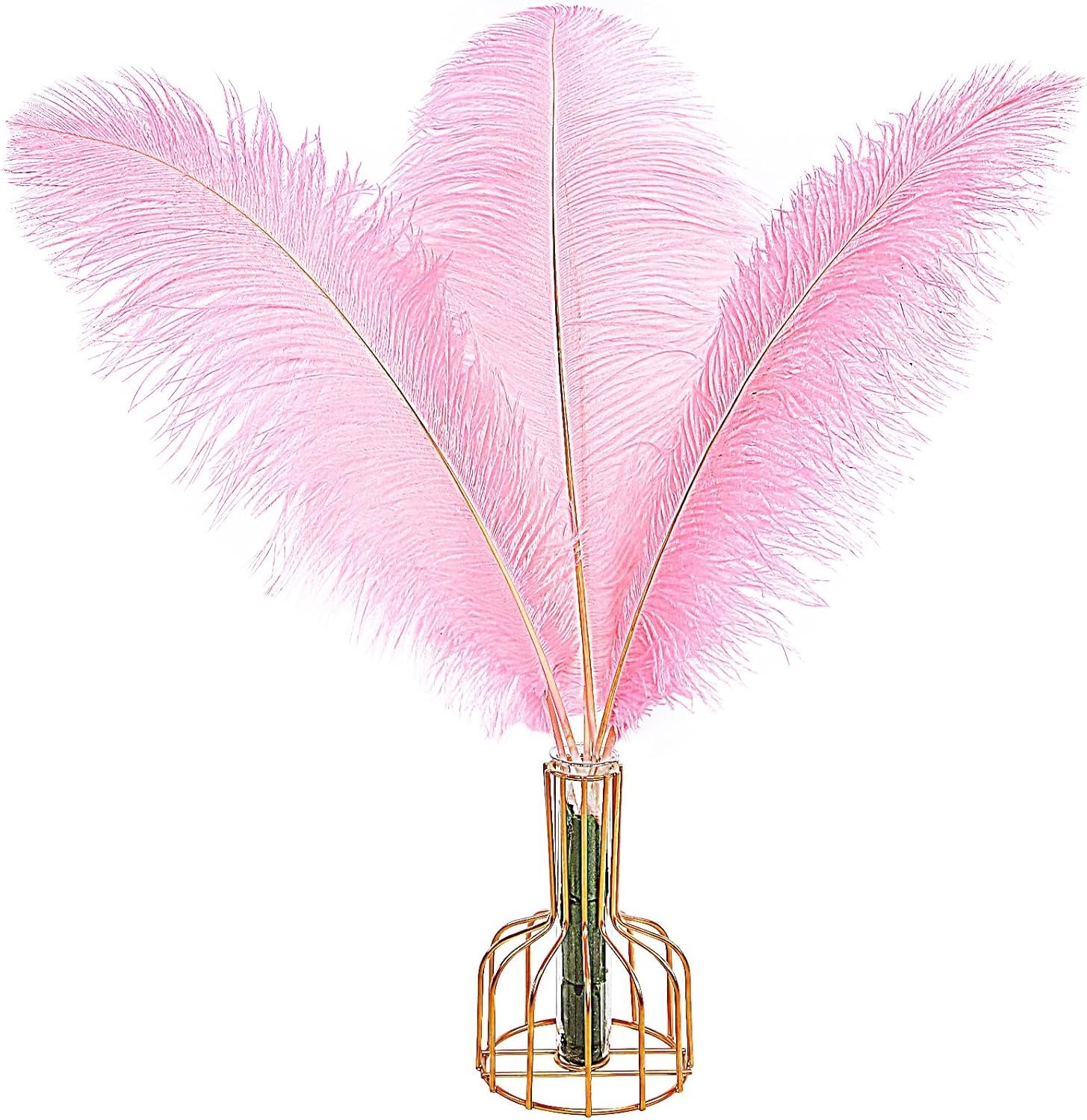 Bulk 12PCS Cruelty-Free Pink Ostrich Feathers for Crafts & Wedding Centerpieces