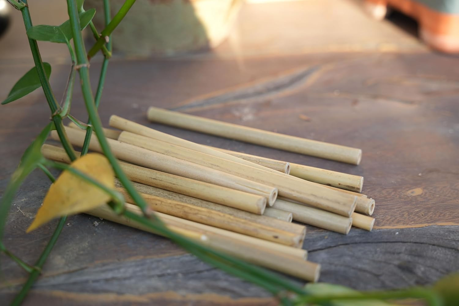 Bamboo Craft Tubes – 100 Count, 5″ Eco-Friendly Sticks for DIY Bee Hotels, So…