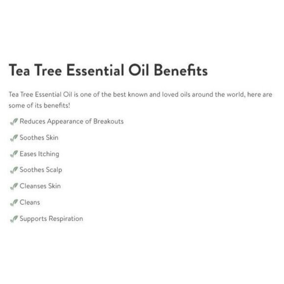 Simply Earth Tea Tree Essential Oil 15ml 100% Pure Oil Natural Therapeutic Grade