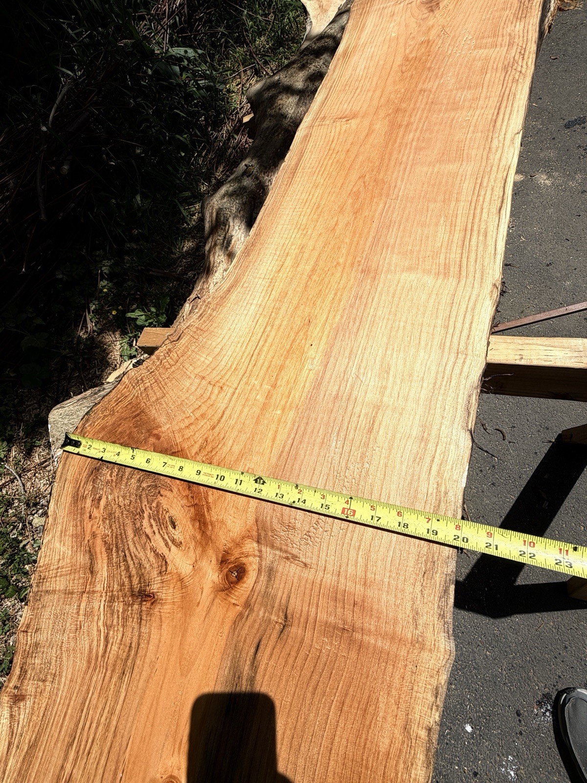13’ Live Edge Big Leaf Maple Slab Highly Figured Low Moisture Delivery Options