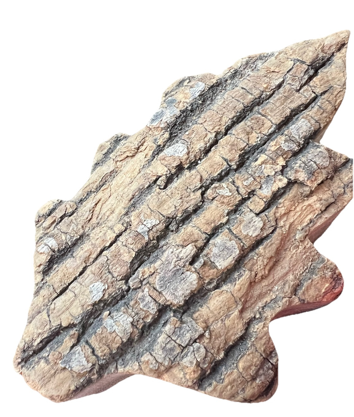 Beautiful Wood Cut Out Oak Leaf Home Decor