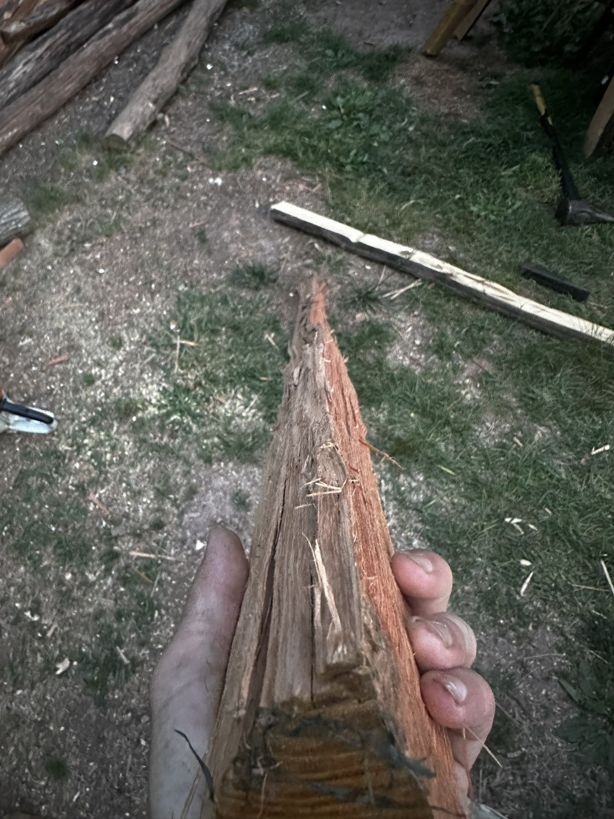 Premium Grade, Aged And Cured Black Locust Bow Staves
