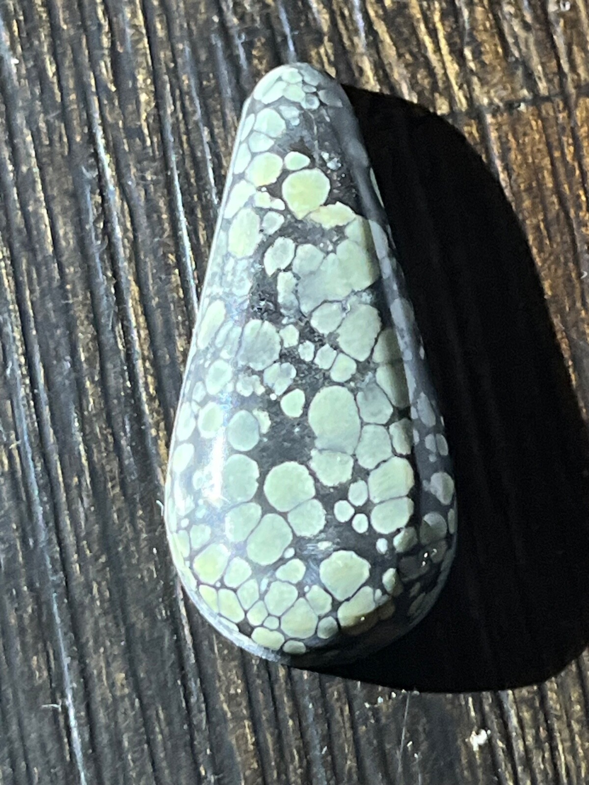 Tree Frog Variscite mine 19.55 ctw Pear Tear drop Cabochon NV, USA