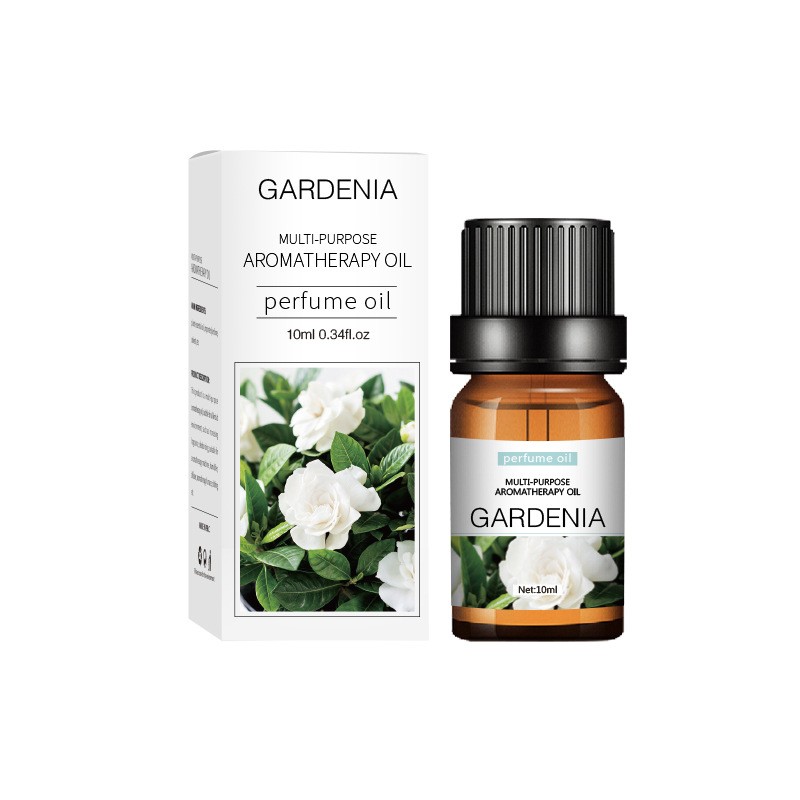 Water-soluble Essential Oil 10 ml Botanical Fragrance For Home Aromatherapy