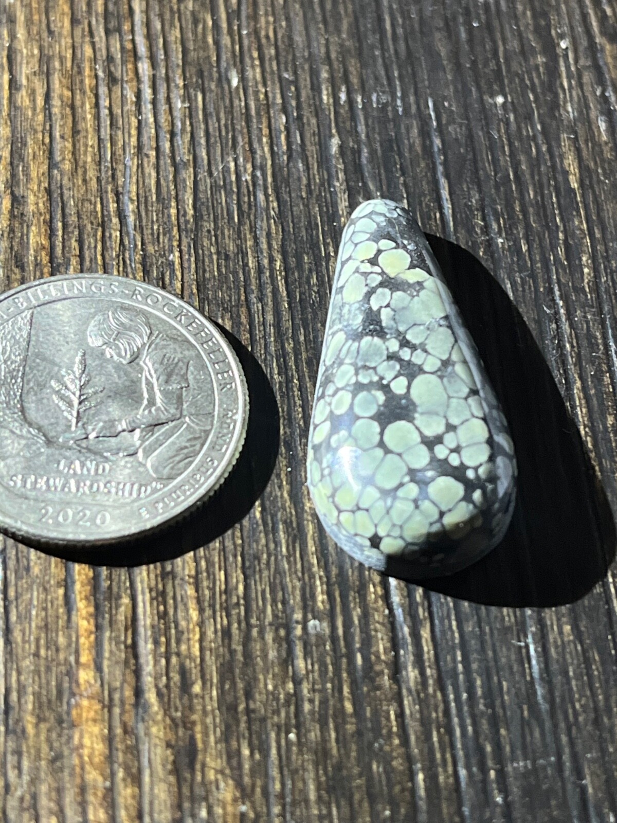 Tree Frog Variscite mine 19.55 ctw Pear Tear drop Cabochon NV, USA