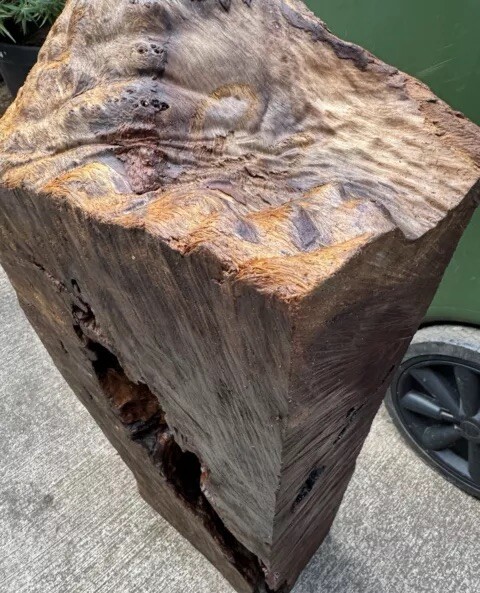 12106 Camphor burl wood turning blank ,hybrid Scale,Dried, 30”x 15”x 6”
