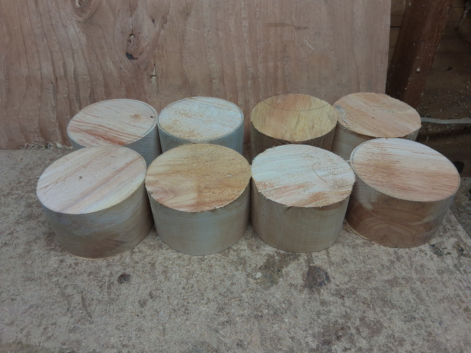 Spalted Red Alder Wood Turning Bowl Blanks 8pc