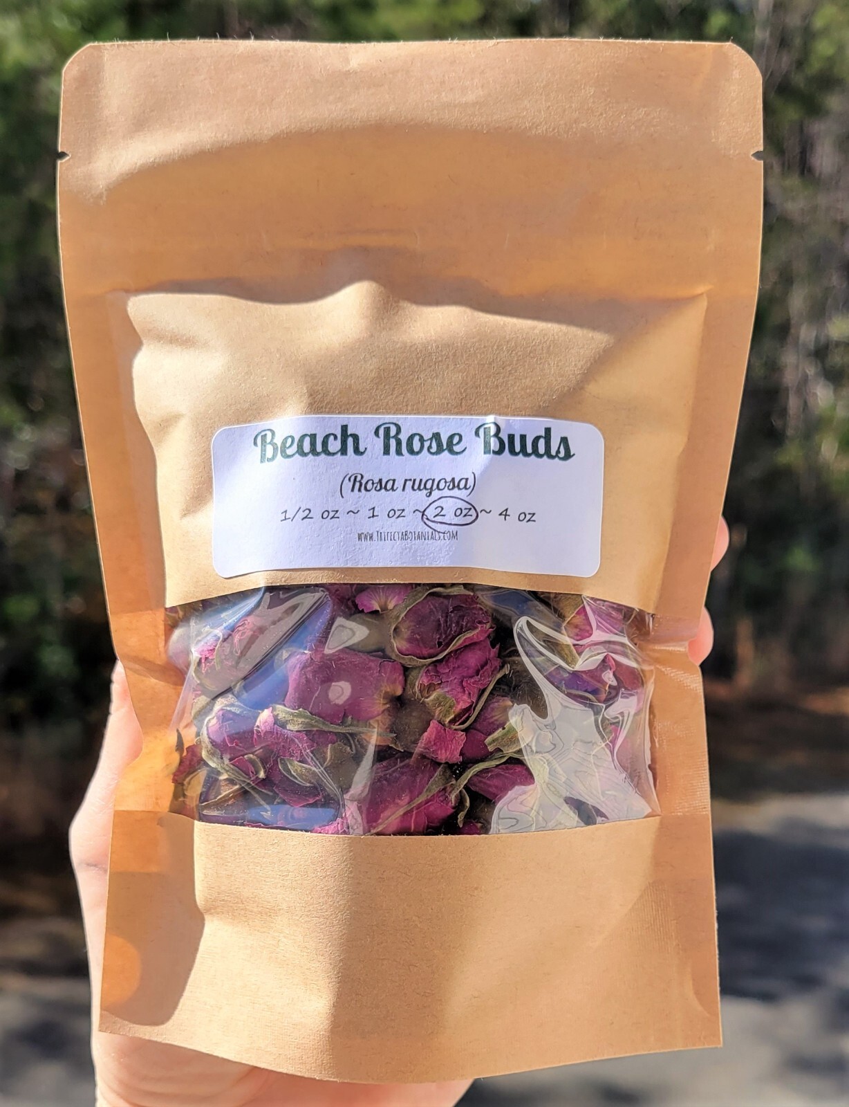 Beach Rose Buds – Dried Organic Flowers DIY Tea – Rosa rugosa CHOOSE 0.5 – 4 oz