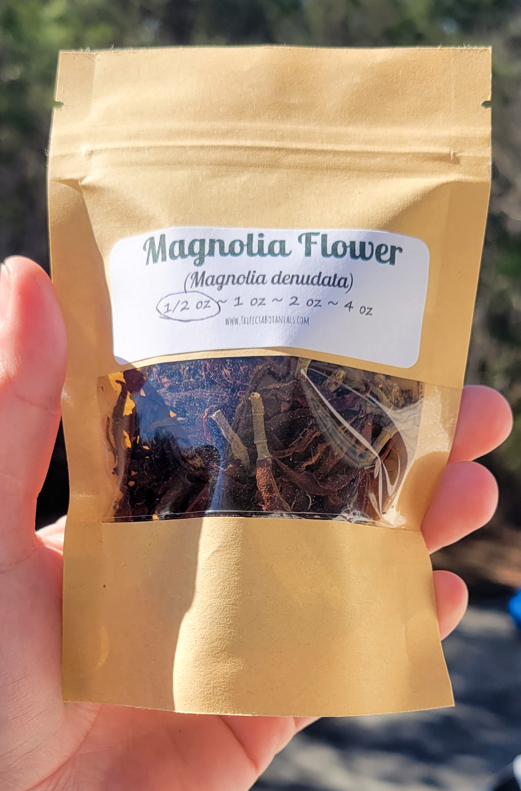 Yulan Magnolia Dried Flowers ~ Magnolia denudata ~ Organic TCM Herbs 0.5-4 oz