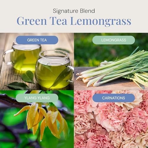 Green Tea & Lemongrass Aroma Oil 10.14 Fl Oz (Pack of 1) Green Tea Lemongrass
