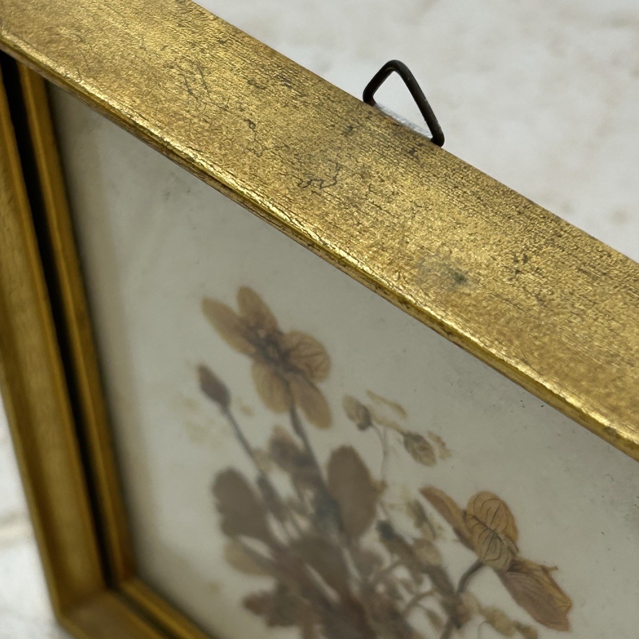Vintage Tirol Austria Pressed Flower Art Framed Mid Century Dried Botanical 5×5