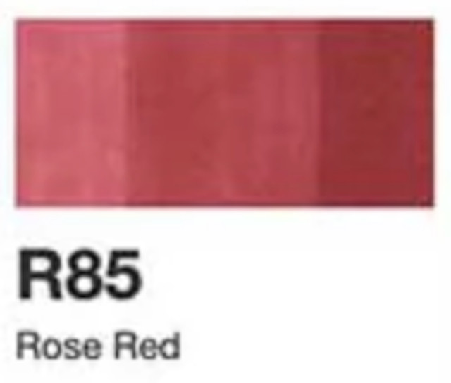 Copic Sketch Markers | Lightly Used | Tested for Quality | Color Group Red & RV