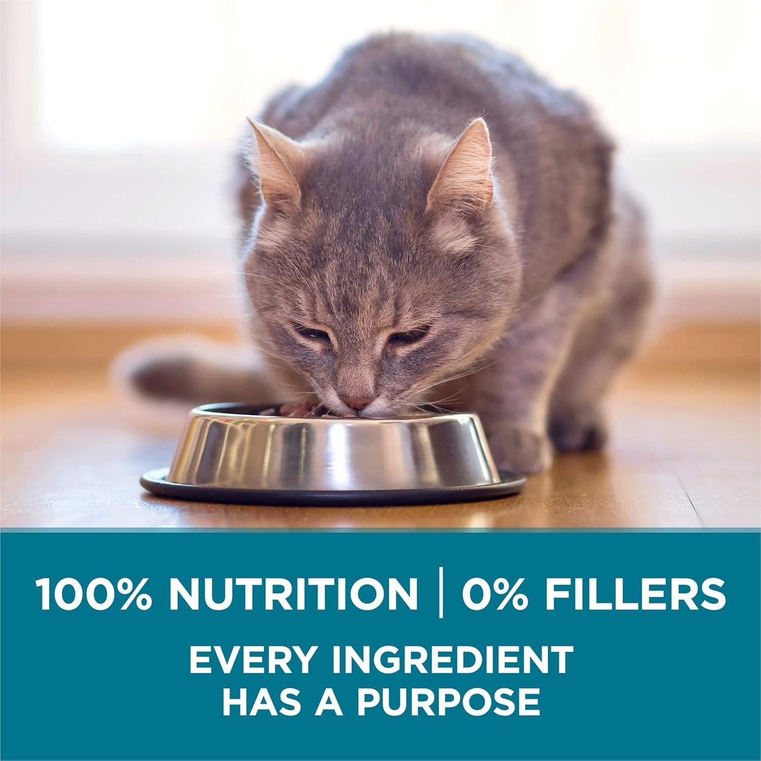 Purina ONE Natural Dry Cat Food, Tender Selects Blend With Real Chicken, 22 lbs